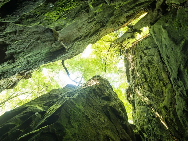 blick-nach-oben-in-der-teufelsschlucht
