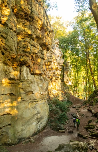 Steile Buntsandsteinfelsen in der Teufelsschlucht, Felsenweg 6