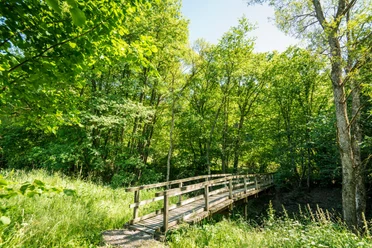 Idyllische Brücke auf der Eifelgold Route