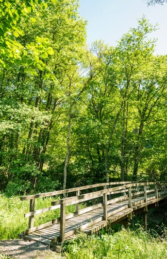 Idyllische Brücke auf der Eifelgold Route