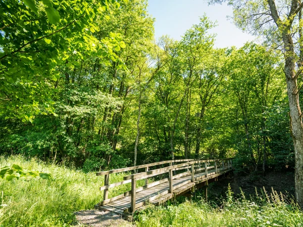 Idyllische Brücke auf der Eifelgold Route