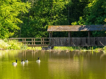 Stauweiher auf der Eifelgold Route