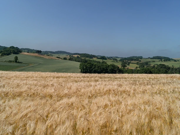 Eifelspur KrÀuterpfad - Blick Ìber Felder