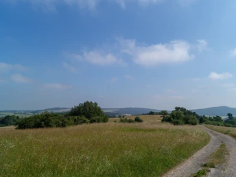 Eifelspur Kräuterpfad - Wildkräuterwiese