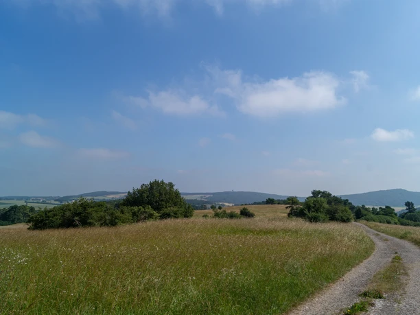 Eifelspur KrÀuterpfad - WildkrÀuterwiese