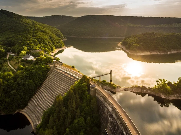 Blick auf Urfttalsperre im Nationalpark Eifel