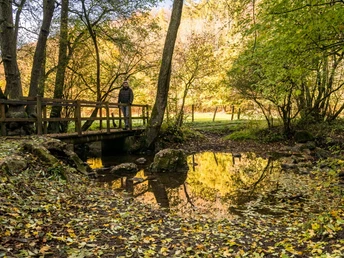 Am Gillesbach auf Eifelsteig-Etappe 6