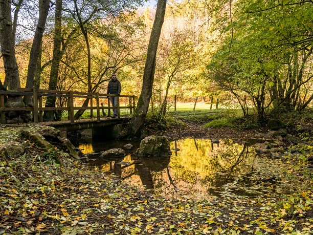 Am Gillesbach auf Eifelsteig-Etappe 6