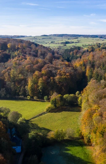 Blick ins Gillesbach-Tal