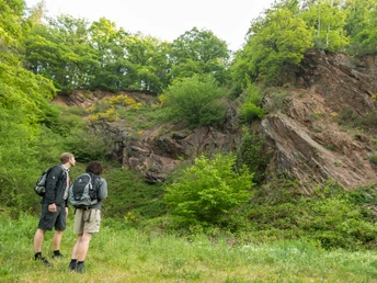 Blick in die Erdgeschichte am Eifelsteig bei Großlittgermühle