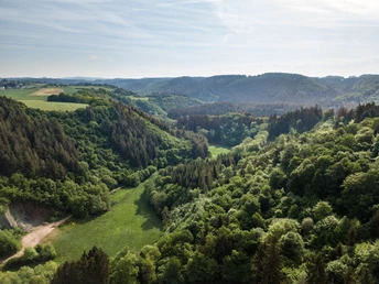 Eifelsteig-Etappe 14: Blick ins Salmtal