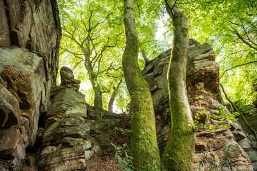 Felsen bei der Mandrack Passage im NaturWanderPark delux