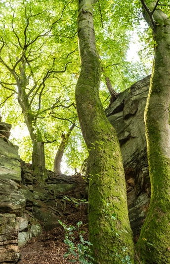 Felsen bei der Mandrack Passage im NaturWanderPark delux