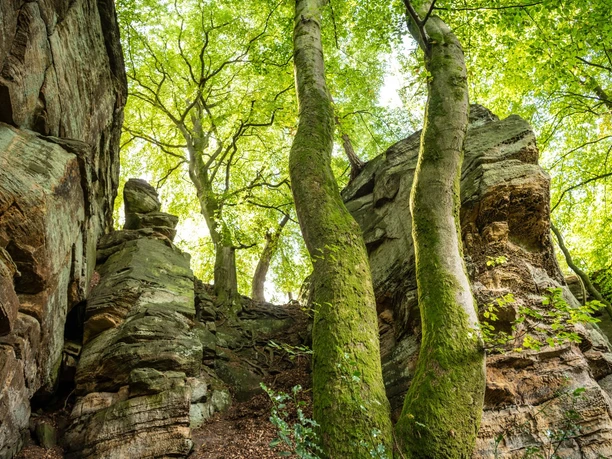 Felsen bei der Mandrack Passage im NaturWanderPark delux