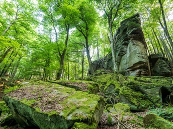 Felsformation Predigtstuhl im NaturWanderPark delux