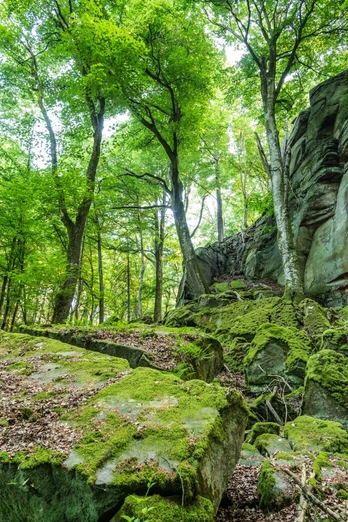 Felsformation Predigtstuhl im NaturWanderPark delux