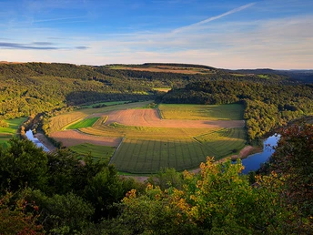 Felsenweg 4 - Ralingen-Rosport