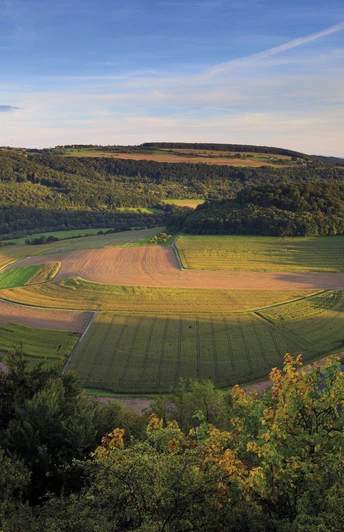 Felsenweg 4 - Ralingen-Rosport