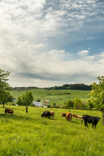 Muße Platz Ellscheid