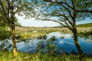 Naturschutzgebiet Murmes