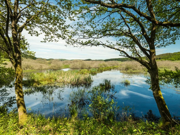 Naturschutzgebiet Murmes