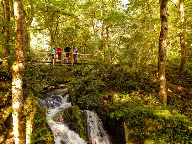 Atemberaubender Wasserfall die "Rausch"