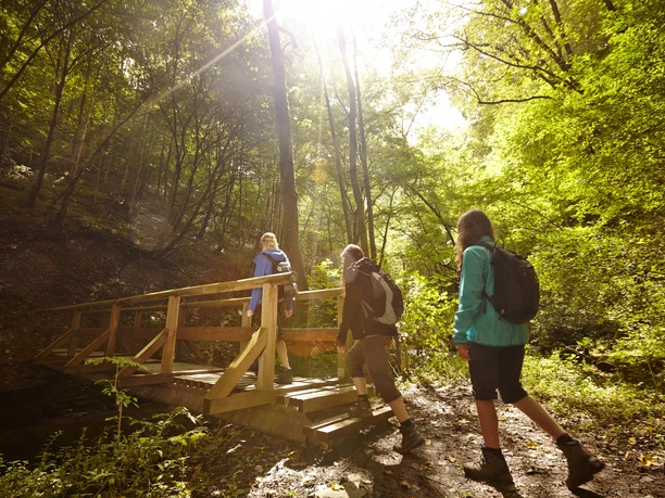 Wandern entlang der wildromantischen Endert