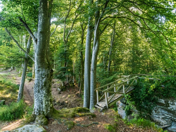 Idyllischer Wanderweg an der Schankweiler Klause auf dem Klausnerweg