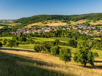 Prümtal mit Hopfenanbau und Streuobstwiesen bei Holsthum