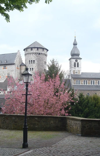 Burg Stolberg mit blühender Kirsche
