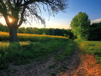 Kylltaler Buntsandsteinroute