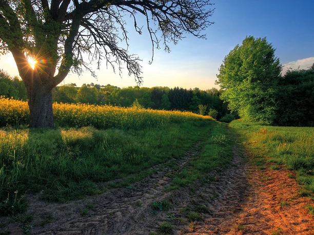 Kylltaler Buntsandsteinroute