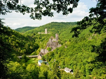 Blick auf die Manderscheider Burgen am Lieserpfad