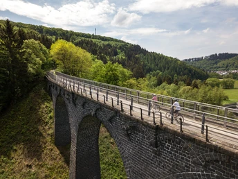 Radtour über Viadukt bei Daun am Maare-Mosel-Radweg