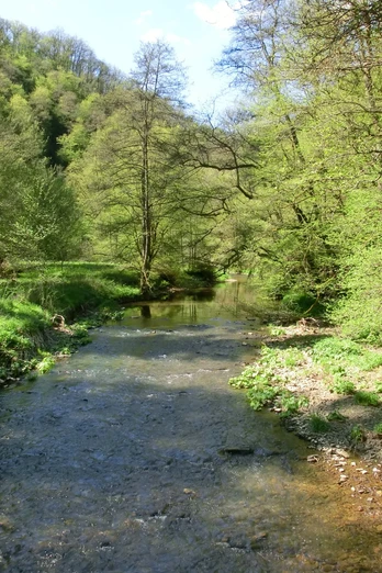 Wandertour Manderscheider Burgenstieg: Die Lieser