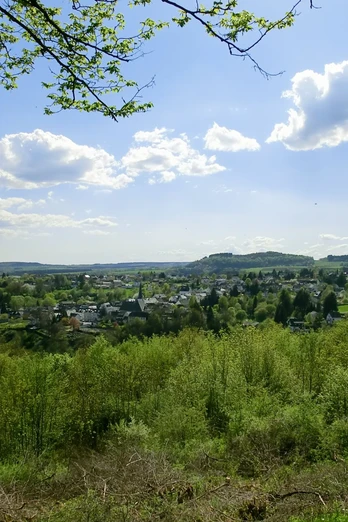 Manderscheider Burgenstieg: Aussicht auf Manderscheid