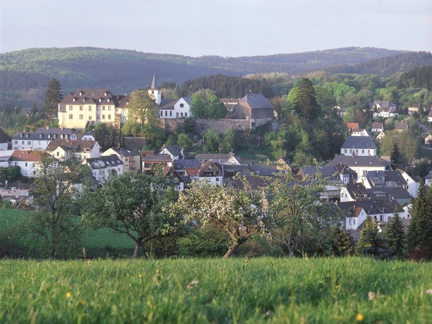 Blick auf Daun, Ziel der Mineralquellen-Route