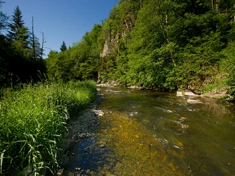 Die Our auf der Nat'Our Route 1 - Dreiländereck