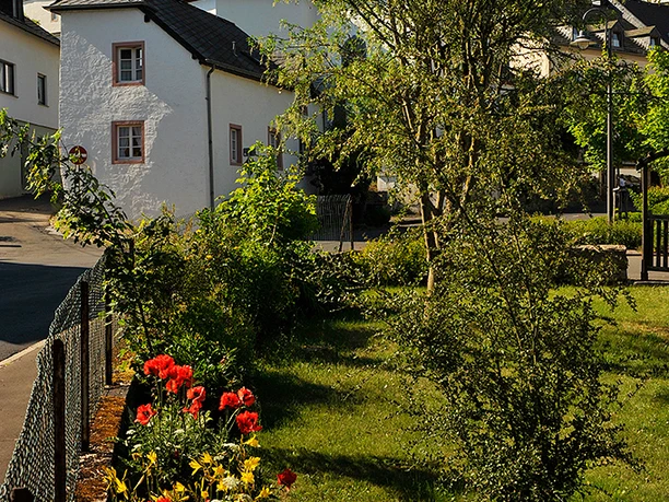 Nat'Our Route 2 - Mittleres Ourtal