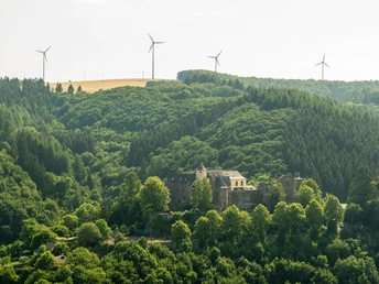 Blick von der großen Kanzel auf die Burg Neuerburg