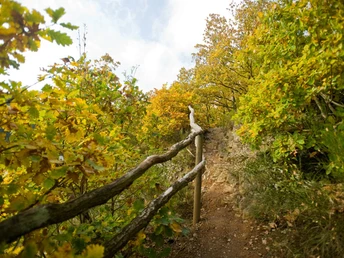 Wanderweg Rur-Olef-Route hinauf zur Kuckucksley