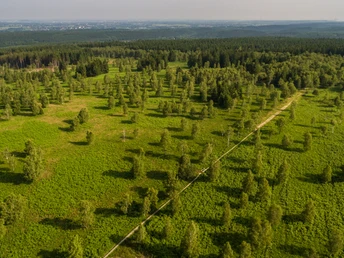 Wandertour Struffeltroute aus der Luft
