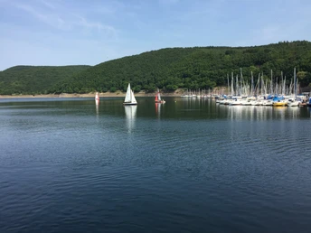 Blick auf den Rursee mit Segelbooten