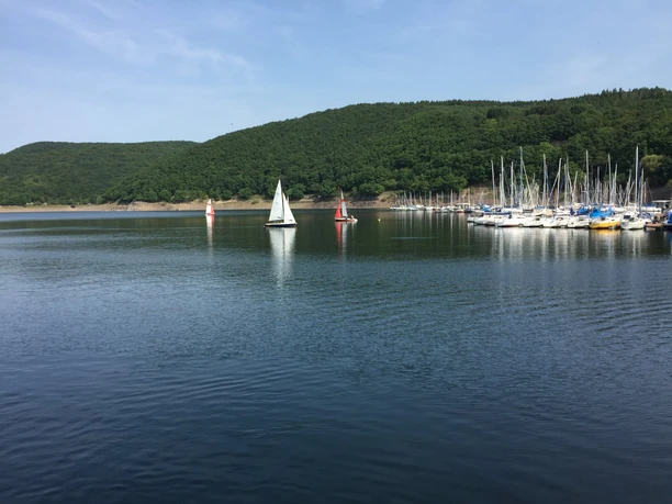 Blick auf den Rursee mit Segelbooten