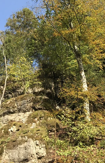 Schneifel-Pfad: Felsen in der Schönecker Schweiz