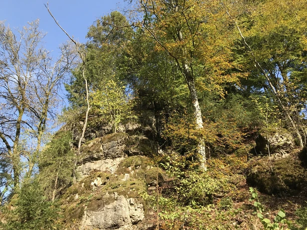 Schneifel-Pfad: Felsen in der Schönecker Schweiz