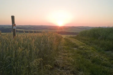 Eltzer Burgpanorama - Feld bei Wierschem