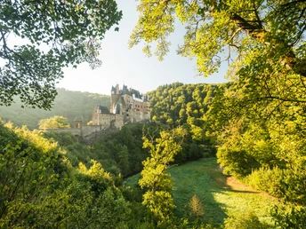 Blick auf die Burg Eltz