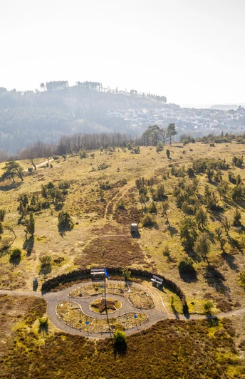Blick auf den Wabelsberg am Wanderweg Traumpfad Wacholderweg