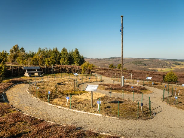 Ausblick vom Wabelsberg am Traumpfad Wacholderweg